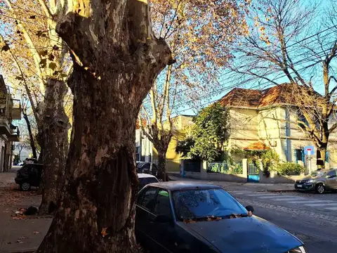 14 De Julio 100
