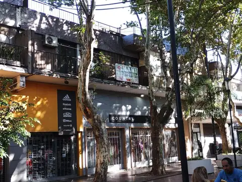 Fernández De Enciso 3900, Piso 1°