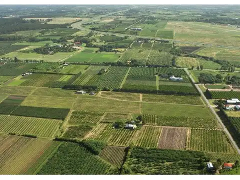 Galpon en Venta 550  mts Frente