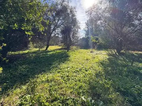Casa en Venta con 4 cocheras