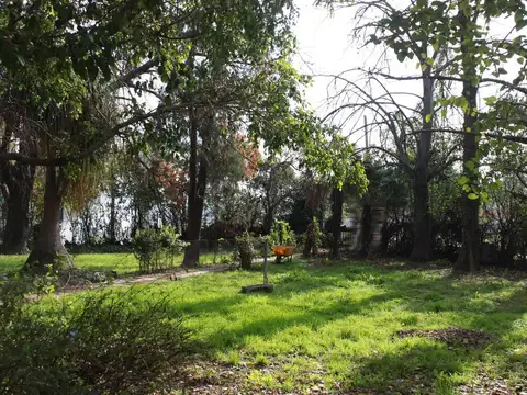 Coronel Manuel Fraga 4200