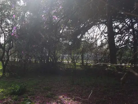 Terreno en Venta de 2295,0 m2