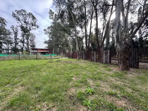 Terreno en Venta 30  mts Fondo