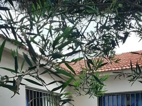 Calle 1 5600