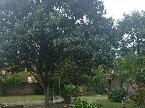 Hipolito Yrigoyen 13500