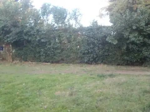 CORONEL OLAZABAL 500