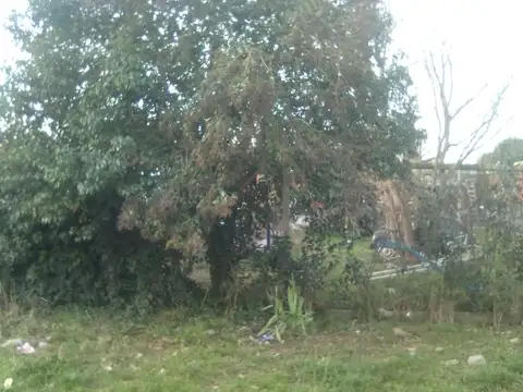 Quinta en Venta en Cañuelas, USD 60.000