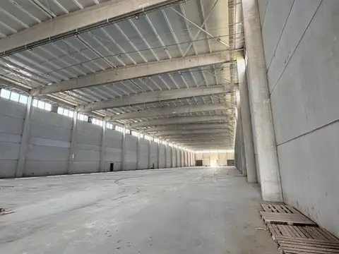 Galpon en Alquiler 245  mts Fondo