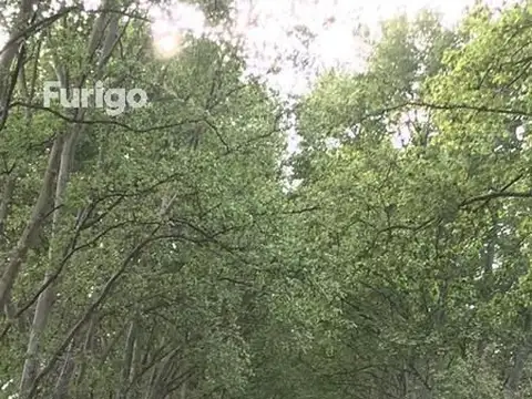 Av. Cristo Rey, a 600 m de Av. Alberdi