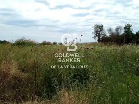 Alquiler Campo Ganadero Colonia Silva, Depto San Justo