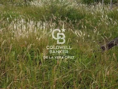 Alquiler Campo Ganadero Colonia Silva, Depto San Justo