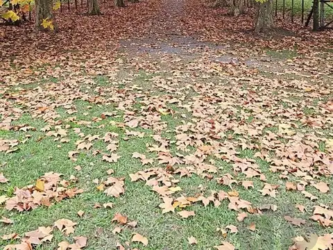 Chacra Puesto del Rincón, Estancia Benquerencia
