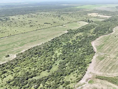 Campo en Venta de 245  ha