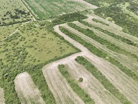 Campo en venta en San Jose de Feliciano