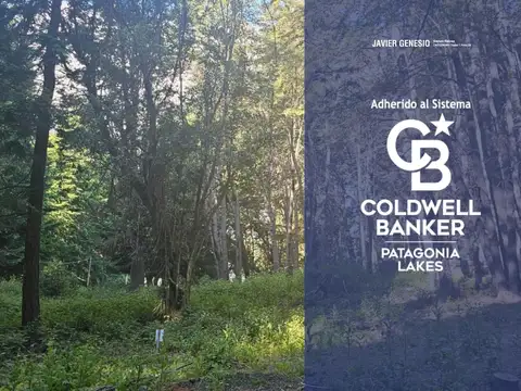 VENTA Lote/terreno 407,04 m2 Loteo Quetrihue, Selva Triste, Villa la Angostura