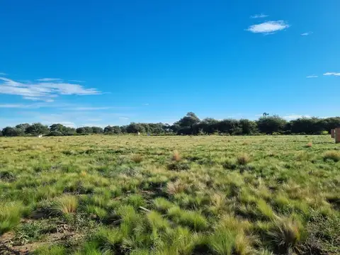 Belgrano - Ayres de Anguil
