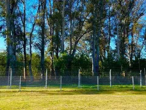 Comarcas de Lujan - Ruta Provincial 100