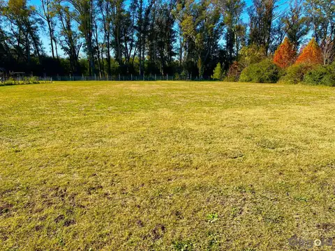 Terreno en Venta 50  mts Frente