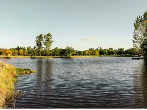 Terreno en Venta de 607,0 m2