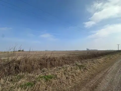 VENTA 51 HECTÁREAS EN ROLDÁN