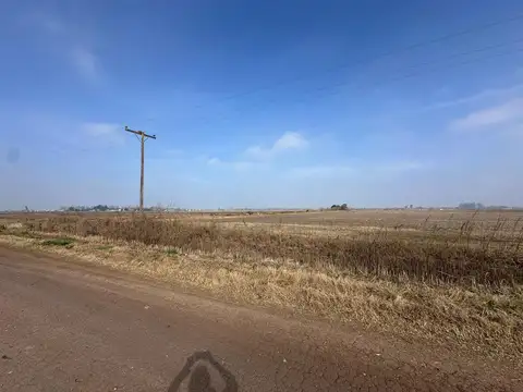 VENTA 51 HECTÁREAS EN ROLDÁN