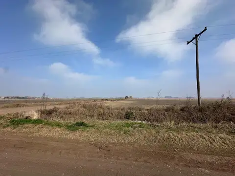 VENTA 51 HECTÁREAS EN ROLDÁN