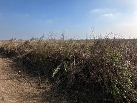 VENTA 51 HECTÁREAS EN ROLDÁN