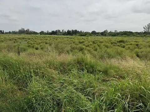 Venta de Lote en Arturo Seguí La Plata