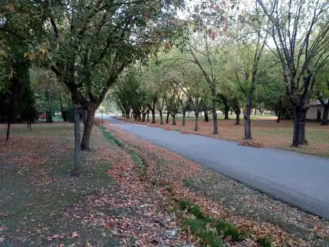 Country Los Quinchos