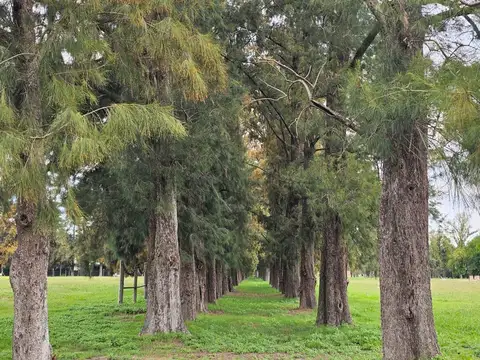 Terreno en venta en Barrio ALMAHUE - Pilar en Taco 2