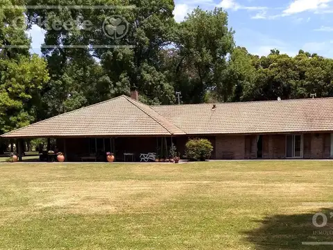 CAMPO DE 55HAS - 100% AGRICOLA - CON IMPORTANTE CASCO PARA DISFRUTAR CERCA DE BS.AS.