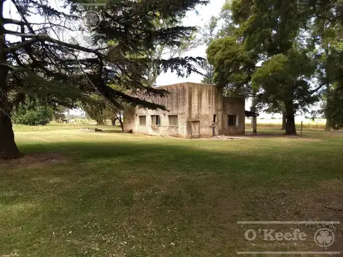 CAMPO DE 55HAS - 100% AGRICOLA - CON IMPORTANTE CASCO PARA DISFRUTAR CERCA DE BS.AS.
