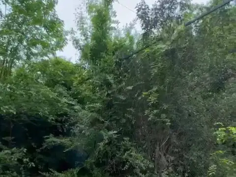 VENTA LOTE  738 MTS 2 -  Carlos Spegazzini, Partido de Ezeiza.