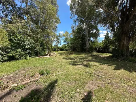 Terreno en Venta 52  mts Fondo
