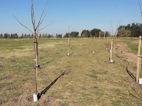 Venta terreno Santa Fe - Lote Country SANTOMÀS - EL CIELO.
