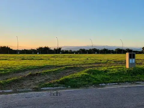 Campos de Manantiales