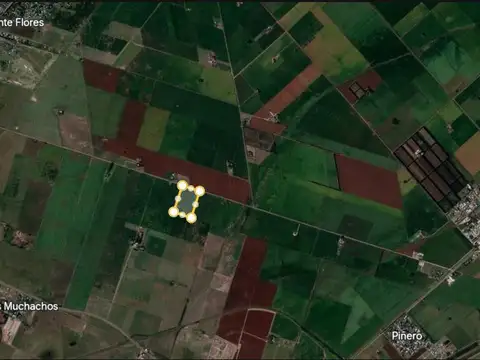 Venta campo en  Pinero