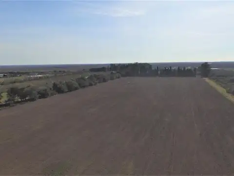 BERNABE DE SAN MARTIN