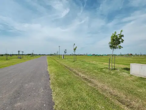 Vida Club de Campo 'Lote 316