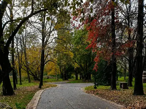 LOTES EN VENTA EN BARRIO CERRADO DEL GOLF – FRANCISCO ÁLVAREZ