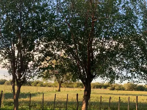 Campo en Venta de 15  ha