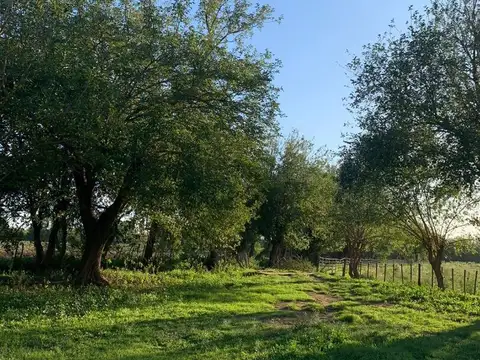 Las Encrucijadas
