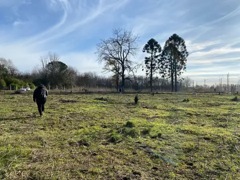 Terreno en Venta de 350,0 m2