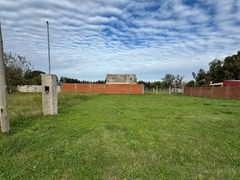 Guadalupe Cuenca- Petion Chico 500