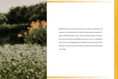 Emprendimiento en Caballito - Etapa: En pozo