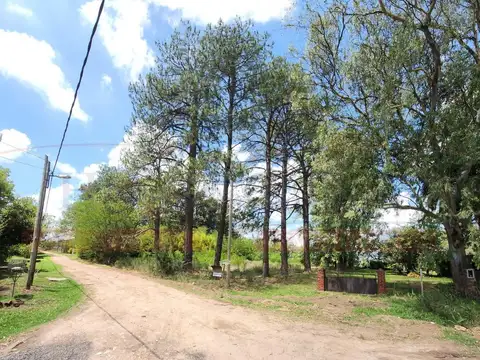 EXTRAORDINARIO TERRENO DE 1.400 M² CON ARBOLEDA EN CAÑUELAS