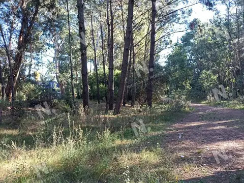 Terreno en Venta de 4454,0 m2