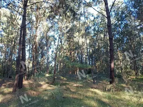 Terreno en Punta del Este, Pinares