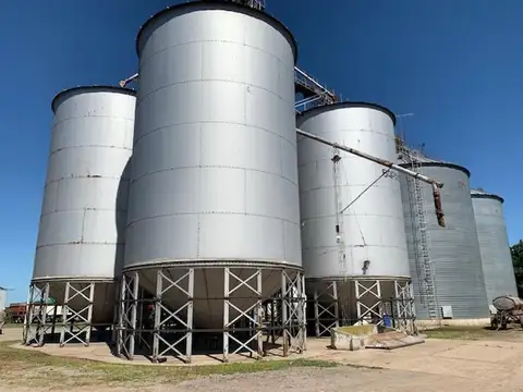 Campo en Venta en Ramallo, Partido de Ramallo