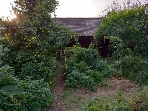 Leandro N. Alem 4400